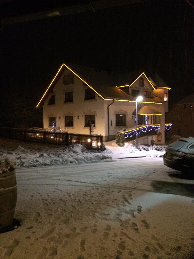 Hotel Alpenhof Markneukirchen Esterno foto